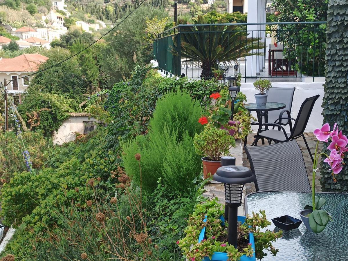דירות אסוס Gardenia House מראה חיצוני תמונה